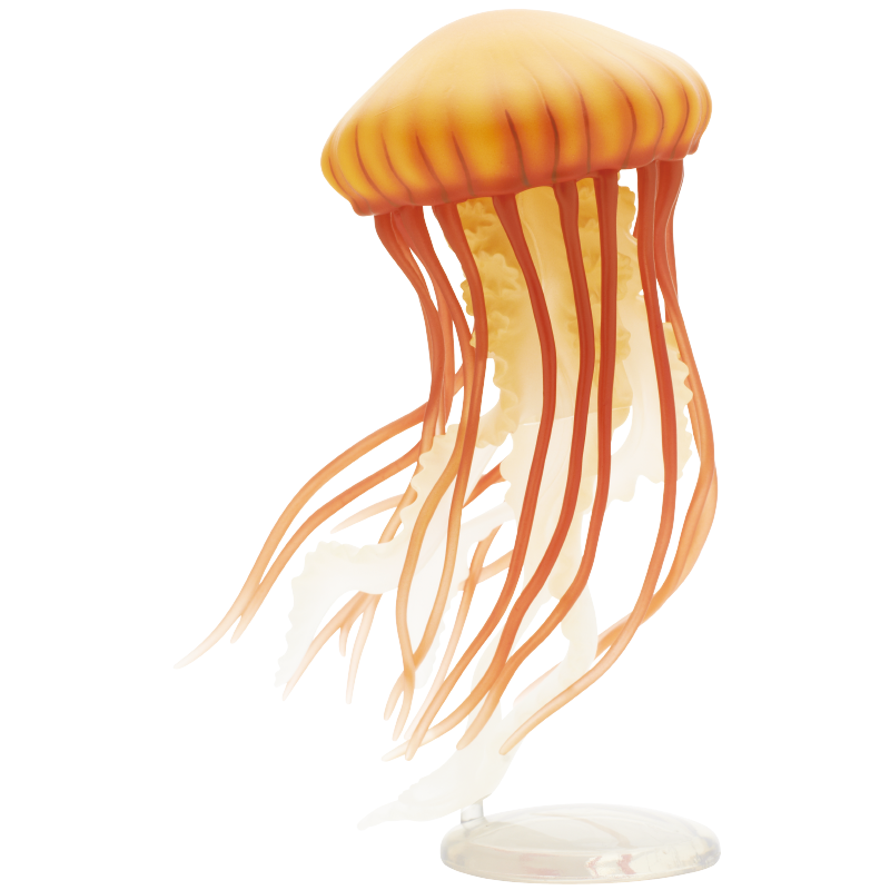 Jellyfish Gashapon Figure Kita - Outdoor Lighting Jellyfish 评论和价格